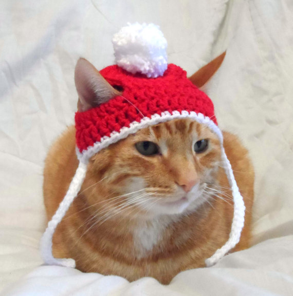 crochet chat chapeau noel.jpg