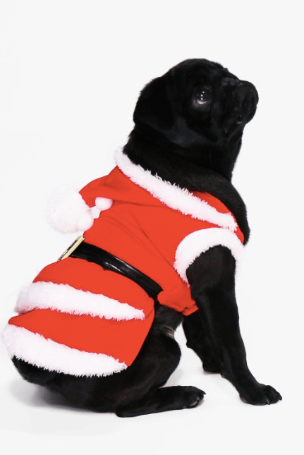 Déguisement fantaisie père noël à capuche pour chien Boohoo.png