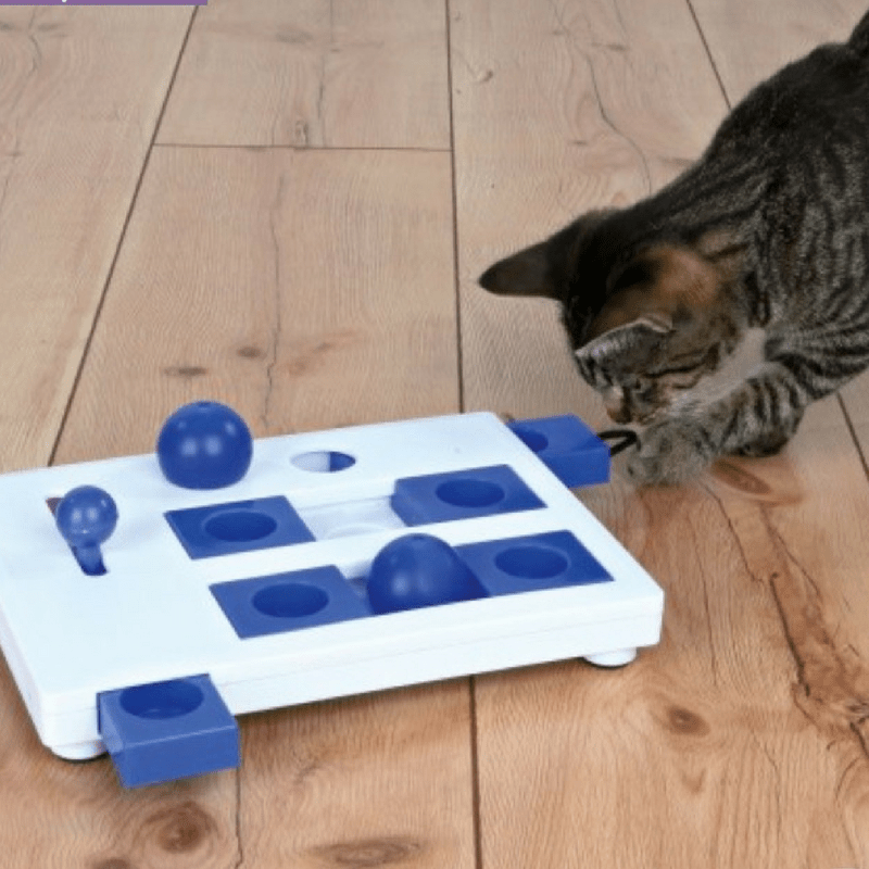 Jeu-de-stratégie-Brain-Mover-Cat-Activity-Trixie-chat-cadeau-noel