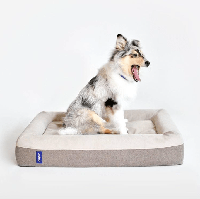 Lit pour chien Casper