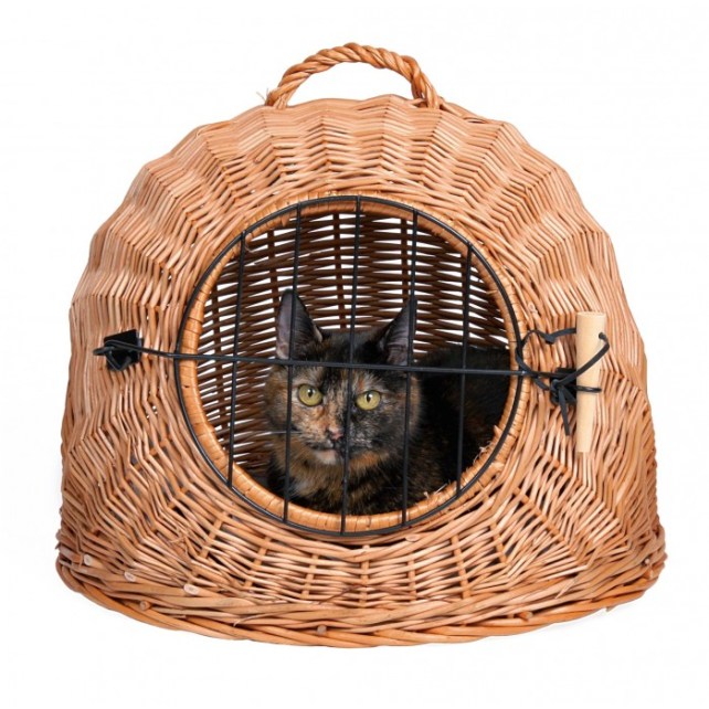 panier transport chat.jpg