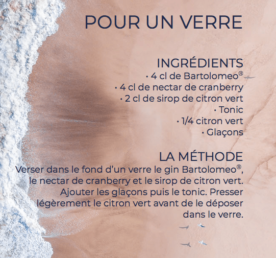 Recette Red wave cocktail gin