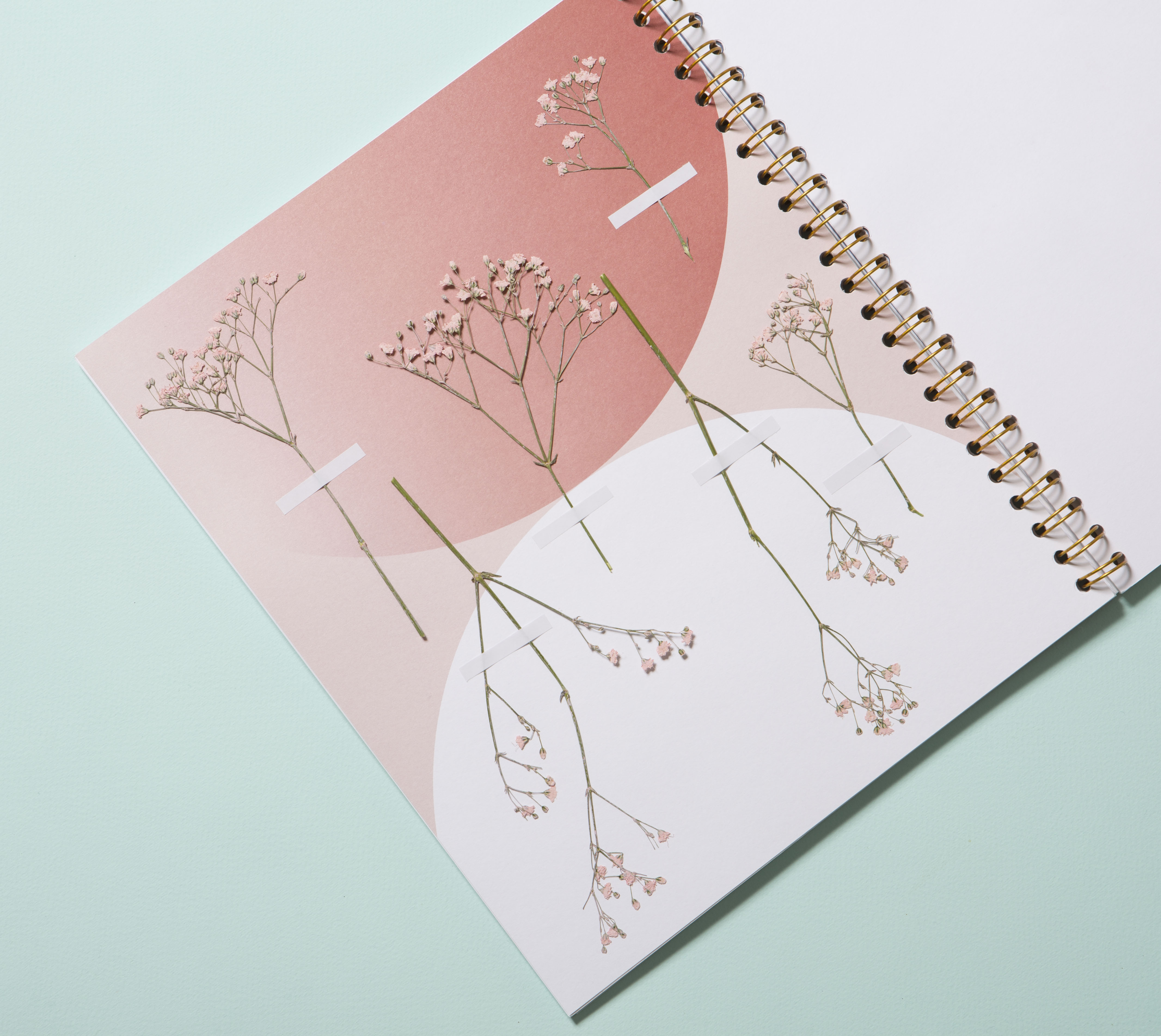 9911 - Photo Alcide Rioche.JPG