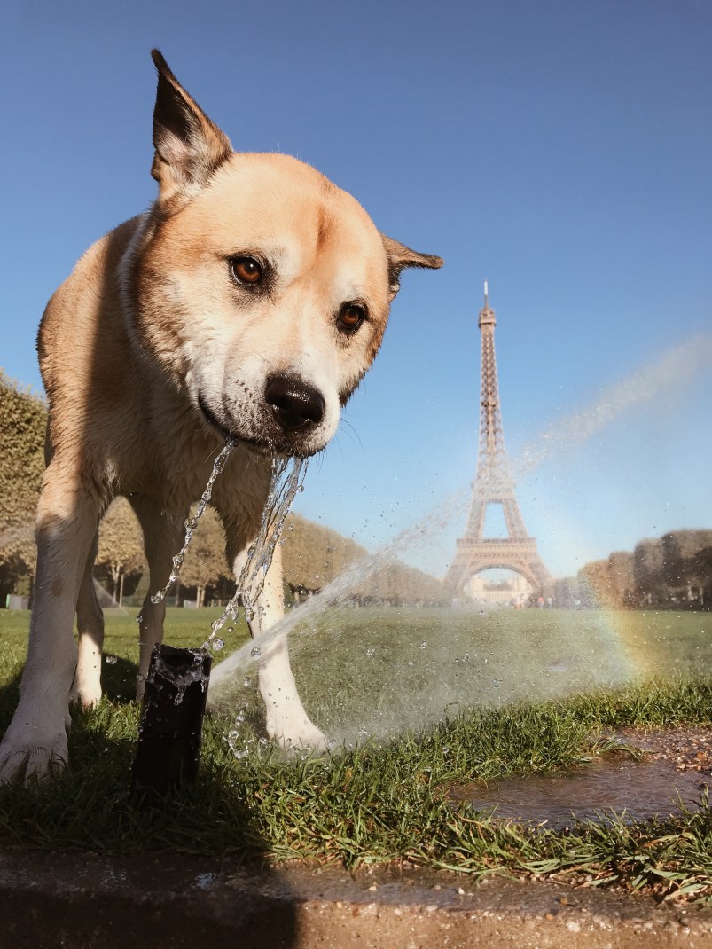 Processed with VSCO with a4 preset