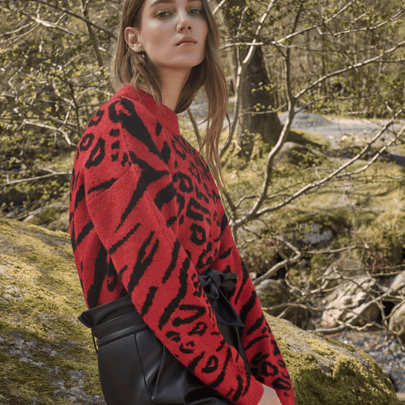 primark-pull-rouge-animal
