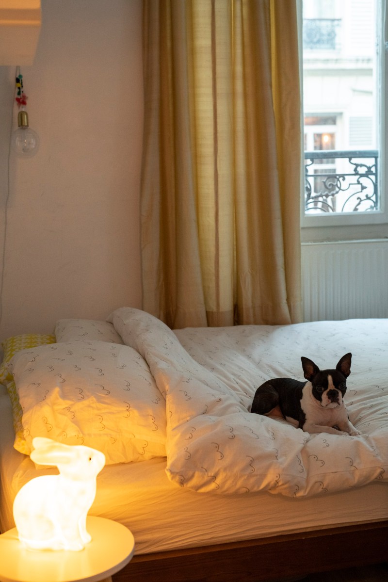 article home sequoia pressing allergies sante bien être 1.jpg