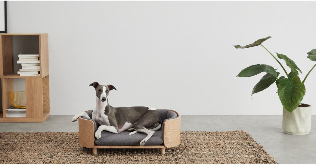 Canapé panier pour chien made.com.jpg