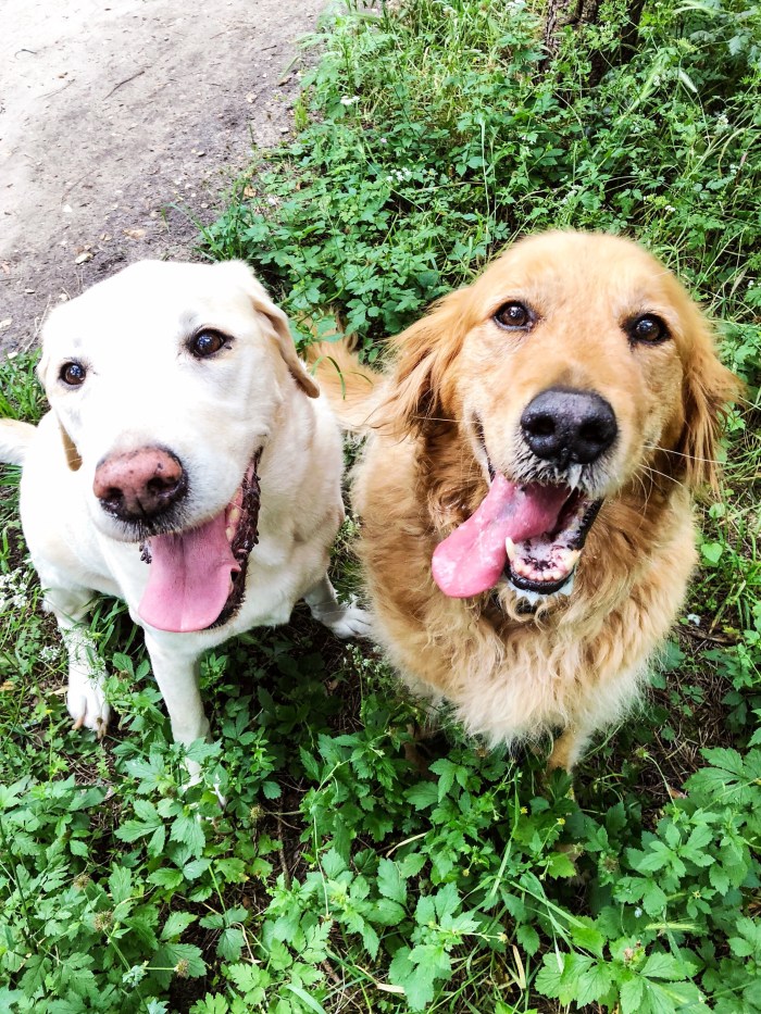 Clio yoga instagram0.JPEG