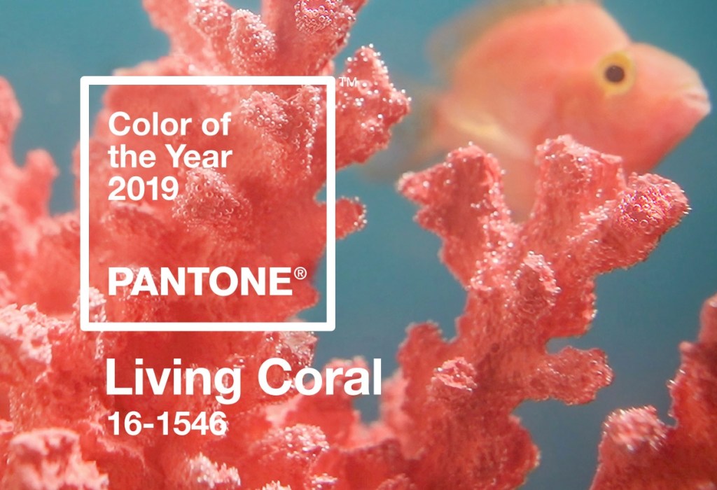 Pantone Living Coral : comment adopter la couleur de l&rsquo;année&nbsp;2019