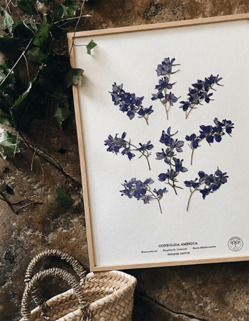 Amoureux des plantes et des fleurs, succombez en décoration à la marque&nbsp;Herbarium