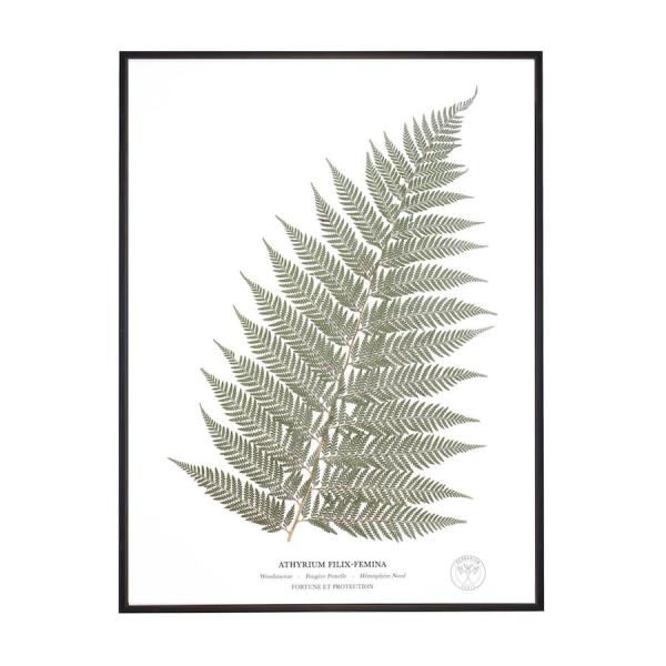 Herbarium fleurs decoration1