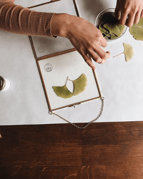 Herbarium fleurs decoration2.png