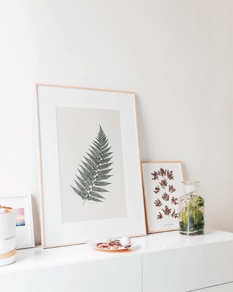 Herbarium fleurs decoration5.png