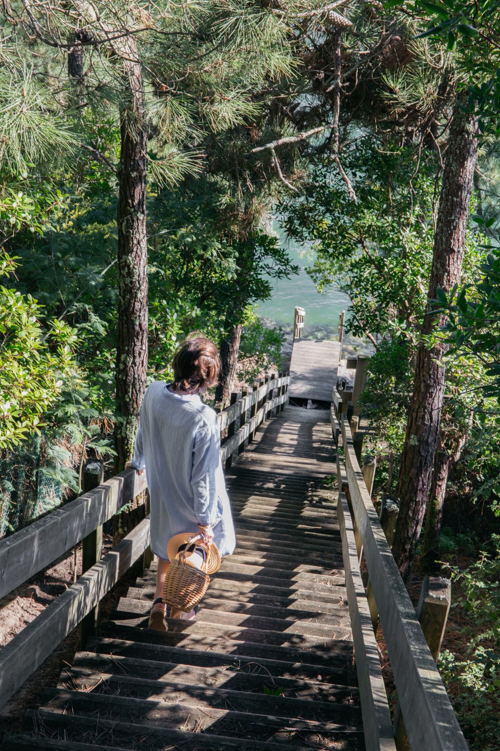 Océopin : le pin maritime, votre nouvel allié bio pour votre&nbsp;peau