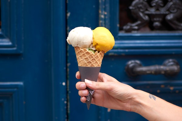 Paris vegan guide paris0.jpg