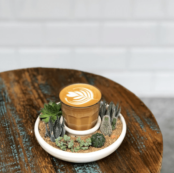 Plantes Thibault hebdomania green.png