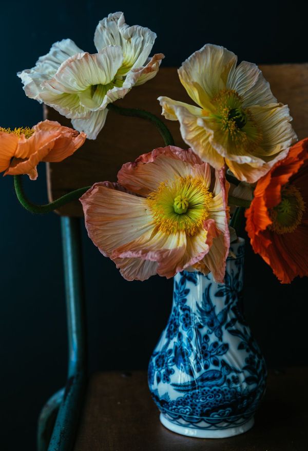 THE PINEAPPLE CHEF - Flower photography, flower styling, flower aesthetic, flower arrangement, bouquet