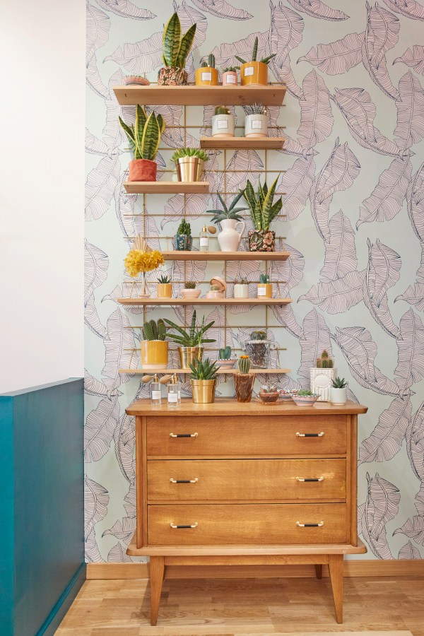 Photo Boutique La seignographe x Atelier Mouti 4