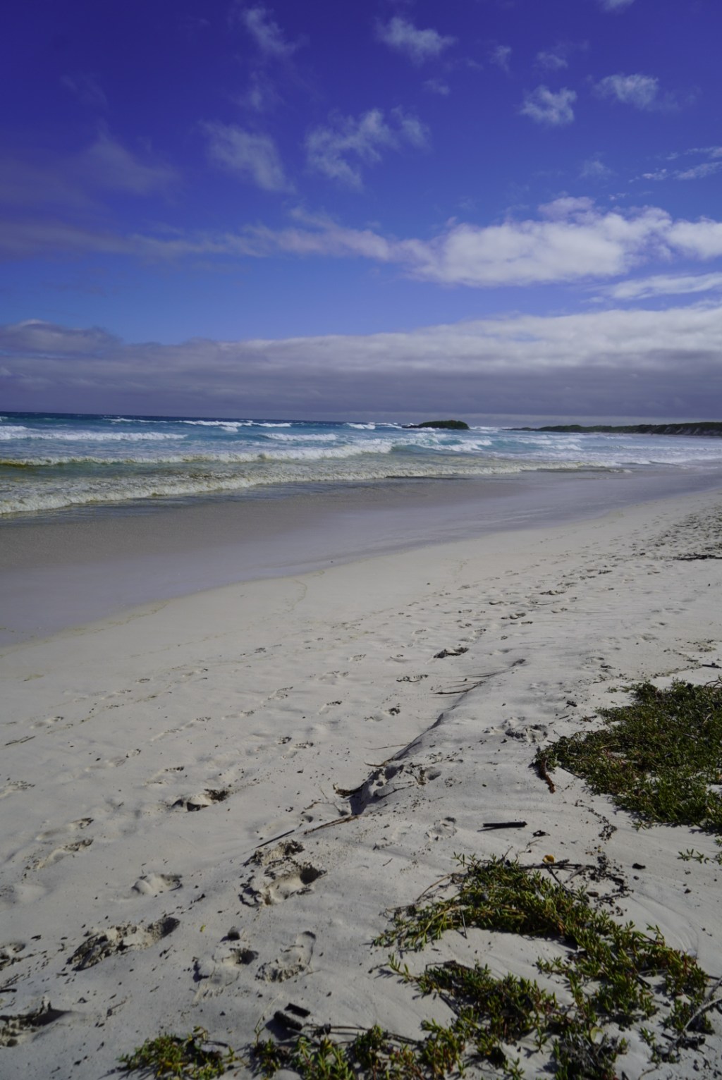 Destination de rêve : les Galapagos, entre animaux et paradis au nom de Finch Bay 