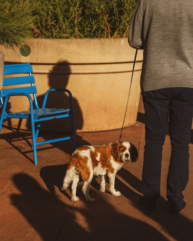 Croisette hors-champ photos Panos Georgiou